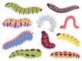 Spring caterpillars. Cartoon insect caterpillar, cute garden and forest wildlife animal. Doodle summer centipede, funny