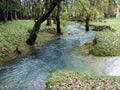 Spring cave and creek Baracevac or Izvor spilja i potok Baracevac - Significant landscape Barac caves Royalty Free Stock Photo