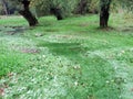 Spring cave and creek Baracevac or Izvor spilja i potok Baracevac - Significant landscape Barac caves