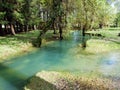 Spring cave and creek Baracevac or Izvor spilja i potok Baracevac Significant landscape Barac caves or Znacajni krajolik Baraceve Royalty Free Stock Photo