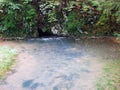 Spring cave and creek Baracevac or Izvor spilja i potok Baracevac - Significant landscape Barac caves