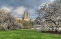 Spring Central Park, New York City Royalty Free Stock Photo