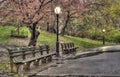 Spring in Central Park, New York City Royalty Free Stock Photo