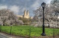 Spring Central Park, New York City Royalty Free Stock Photo