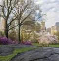 Spring Central Park, New York City Royalty Free Stock Photo