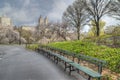 Spring Central Park, New York City Royalty Free Stock Photo