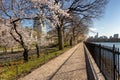 Spring in Central Park and Upper East Side. New York