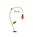 Spring character on the white background, red flower and bud, flower cartoon character flower suprised with red ladybug
