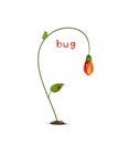 Spring character on the white background, red flower and bud, flower cartoon character flower suprised with red ladybug Royalty Free Stock Photo