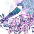 Spring cherry background with birds