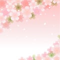 Spring Cherry blossom background