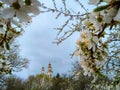 Spring cherry blossom and blue sky temple Royalty Free Stock Photo