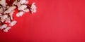 Spring cherry blossom border over red paper background layout. Chinese new year nature design. Flower decor for traditional asian Royalty Free Stock Photo