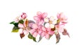 Spring cherry blossom - bouquet of pink sakura or apple flowers. Floral watercolor for springtime card design