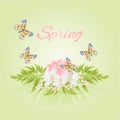 Spring cherry blossom and jasmine with butterflies vector Royalty Free Stock Photo