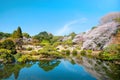 Spring cherry blossom season in Shinjuku Gyoen Park, Tokyo, Japan