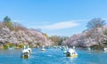 Spring cherry blossom tree and people ride duck boat at Chidorigafuchi park