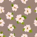 Spring cherry blossoms. Seamless pattern with Japanese sakura. Pink flowers on gray beige background. Romantic Vector illustration Royalty Free Stock Photo