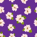 Spring cherry blossoms. Seamless pattern with Japanese sakura. Pink flowers on purple background. Romantic Vector illustration. Royalty Free Stock Photo