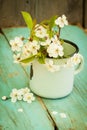 White Flowers Of Cherry In Old Cup.