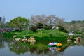 Spring, cherry park scenery