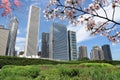 Spring in Chicago city Royalty Free Stock Photo