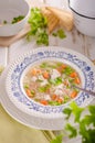 Spring chicken soup noodles, vegetable and toast Royalty Free Stock Photo