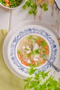 Spring chicken soup noodles, vegetable and toast Royalty Free Stock Photo