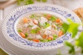 Spring chicken soup noodles, vegetable and toast Royalty Free Stock Photo
