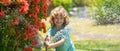 Spring child watering, banner. Cute boy watering plants in the garden at summer day. Child with garden tools and Royalty Free Stock Photo
