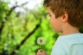 Spring children background. Pollinosis. Dandelion and boy. Spring allergy. Garden and flowers. Royalty Free Stock Photo