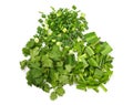 Spring chopped onions leaves, chopped parsley leaves, chopped culantro leaves Isolate on a white background, top view Royalty Free Stock Photo