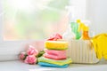 Spring cleaning concept - cleaning products, gloves Royalty Free Stock Photo