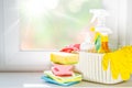 Spring cleaning concept - cleaning products, gloves Royalty Free Stock Photo