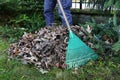 Spring cleaning in the garden. Raking dry leaves Royalty Free Stock Photo
