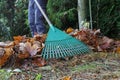 Spring cleaning in the garden. Raking dry leaves Royalty Free Stock Photo