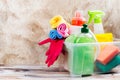 Spring cleaning of house. Cleaning supplies set Royalty Free Stock Photo