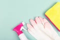 Spring cleaning products on light green background Royalty Free Stock Photo