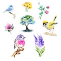 Spring clipart set of watercolor illustrations includes 3 birds paintings, 4 flowers paintings and 1 tree painting.