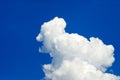 Spring cloud (Cumulus Congestus) Royalty Free Stock Photo