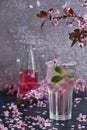 Spring cocktail. Glass of pink rose champagne with ice and mint Royalty Free Stock Photo