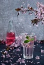 Spring cocktail. Glass of pink rose champagne with ice and mint Royalty Free Stock Photo