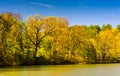 Spring color along Lake Roland at Robert E. Lee Memorial Park in