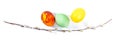 Spring colored Easter composition of eggs and spring branches on white isolated, top view Royalty Free Stock Photo