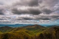 Spring colors in the Appalachians on a cloudy day, in Shenandoah National Park, Virginia. Royalty Free Stock Photo