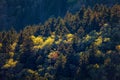 Spring colors from the Cowee Overlook of the Blue Ridge Parkway Royalty Free Stock Photo