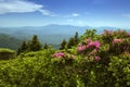 Spring Colors In The Roan Highlands