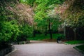 Spring colors and a walkway at Ryerson University, in Toronto, O