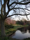 Spring colors in Zuiderpark, The Hague