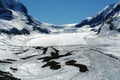 Spring columbia icefield